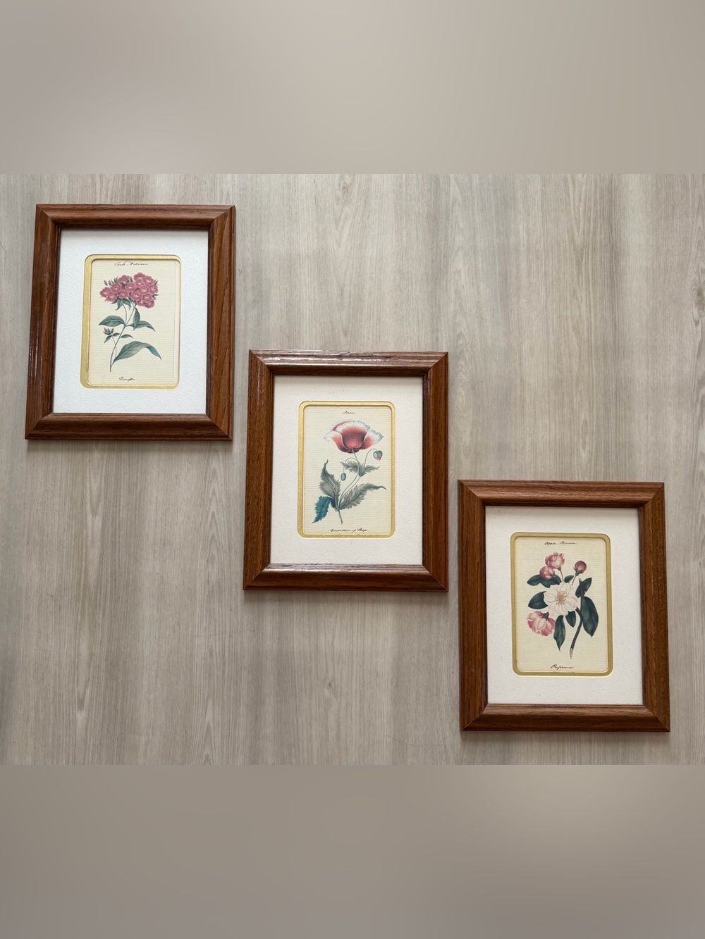 Lot of 3 Vintage Wood Framed Botanical Prints Floral
